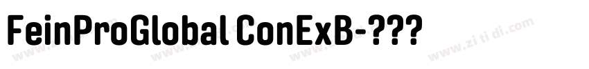 FeinProGlobal ConExB字体转换